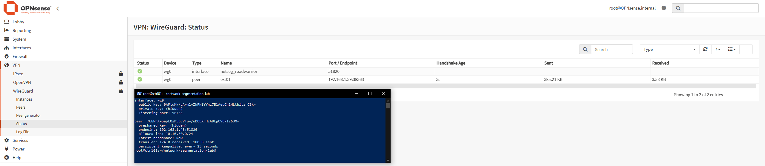 El cliente externo conectado por WireGuard, con la ruta limitada a la red de administración